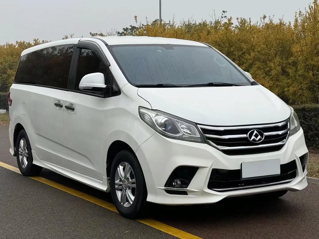 【大通g50图片报价参数,大通g50车图片】