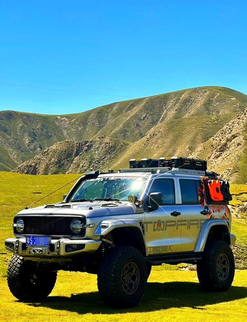 顶火改装官网,顶火改装300订购