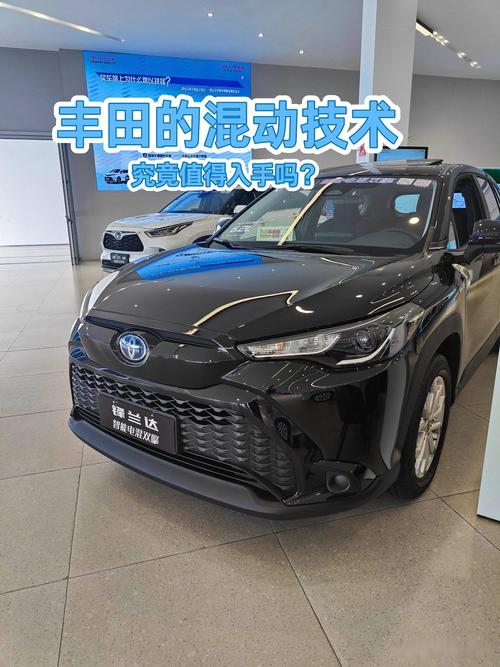 丰田混合动力轿车(丰田 混合动力车)